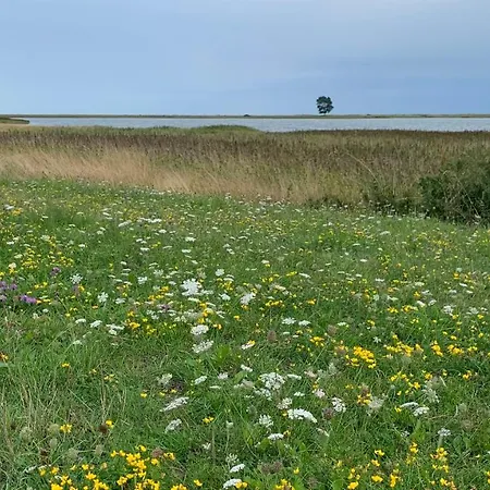 Lejlighed Noorhus - Kurzurlaub An Der Ostsee Masholm