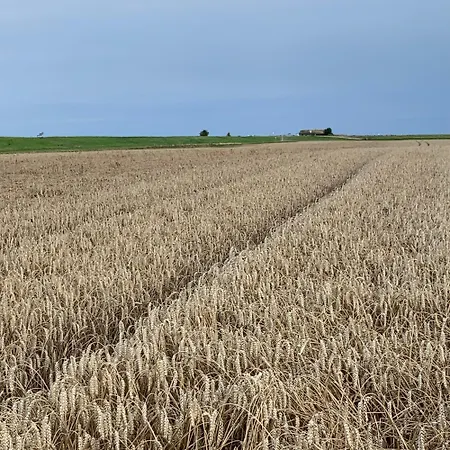 Noorhus - Kurzurlaub An Der Ostsee Lejlighed