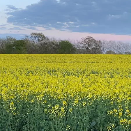 Noorhus - Kurzurlaub An Der Ostsee