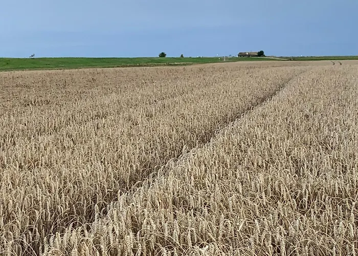 Noorhus - Kurzurlaub An Der Ostsee Appartement
