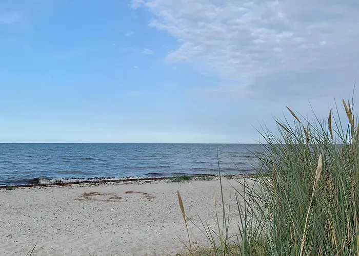 Noorhus - Kurzurlaub An Der Ostsee * Maasholm