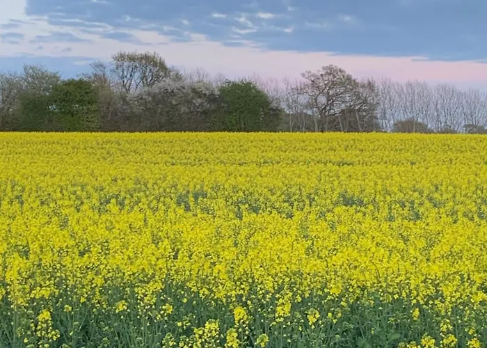 Noorhus - Kurzurlaub An Der Ostsee